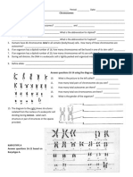 Bio Worksheet