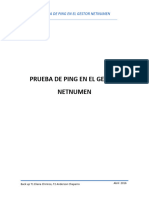 Prueba de Ping en El Gestor Netnumen