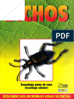 23 Bichos - Escarabajo Patas de Rana