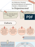 Cultura Organizaconal