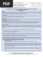 f3.g16.p Formato Informe Valoracion Psicologica de Verificacion de Derechos v4