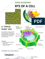 Parts of A Cell BIOLOGY