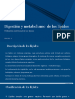 Digestión y Metabolismo de Lipidos