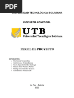 Perfil de Proyecto 2023 - P.E.P.