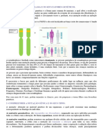 Concepção 3 Tutorial