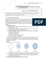 GUÍA DE LABORATORIO N°5 y 6