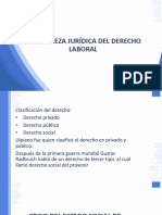 Naturaleza, Principios y Constitucionalización Del Derecho Laboral