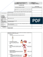 DLP - How The Different Body Organs Work Together