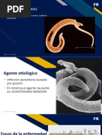 Esquistosomiasis