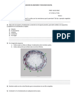 Evaluac Tejidos Flor Fruto