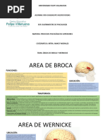 Areas de Broca y Wernicke