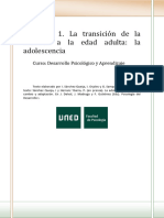 Tema 1 Transición A Edad Adulta La Adolescencia