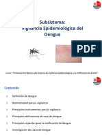 Subsistema - Vigilancia de Dengue