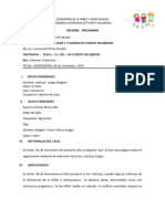 Informe Preliminar Santusao