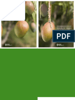 MANUAL DE MANEJO AGRONÓMICO DE MANGO Baja4