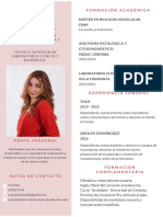 CV Comercial