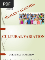 Cultural Variation Power Point