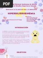 Hiperbilirrubinemia 20230901 073219 0000