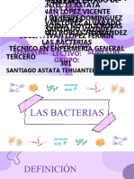 Exposición Las Bacterias Correcta