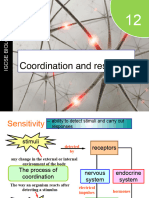 Y10 Co Ordination and Response