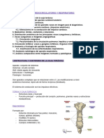 Tema 4 - Aparato Cardiorrespiratorio