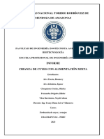 Informe de Produccion de Cuyes Con Alimentacion Mixta