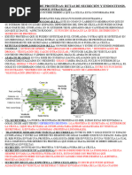 Secresión y Bioenergetica