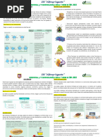 Ciencia Y T Ecnología Eda 1RO - 2023: Funciones de Los Carbohidratos