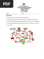 Grade 4 Science Weeks 9-12 Worksheets - Term 1