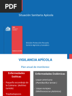 Presentacion-Situacion-Sanitaria Apicola 2019