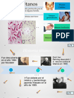 Cadena Epidemiologica Tetanos