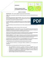 Actividad de Electiva Caso Problema de Aprendizaje DISLEXIA