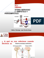 Teoria 11 Fisio Sistema Nervioso SP UMA