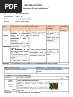 SESIÓN DE APRENDIZAJE El FRUTO Y SUS FUNCIONES 