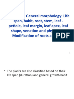 Lecture 2 General Plant Morphology 14.8.12