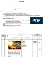 Caracteristica Elementelor Chimice Conform Poziției În SP Proiect de Lectie