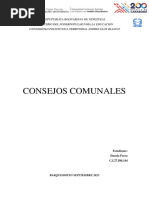 Consejo Comunales