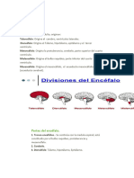 PUCE - M.Lectura (5) - Morfofisiología II - (1) Cliente 1342