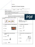 Evaluación N°2 - Ciencias Naturales 2° Básico (Junio)