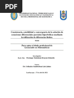 Consistencia, Estabilidad y Convergencia de La Solución de EDPs Hiperbólicas Mediante Diferencias Finitas