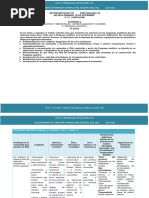 TIFCD 5° Grado - Programa Analítico