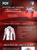 Anatomia Del Sistema Circulatorio