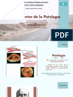 Antecedentes de La Patología