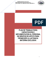 Plan de Trabajo para Capacitacion Al Personal en Formar Grupos de Apoyo