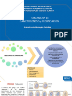 Semana 13. Meiosis, Gametogénesis. Fecundación