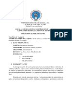 Informe Previas Pelado Quimico