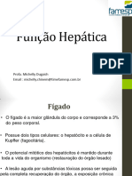 Aula Função Hepática