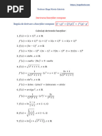 Derivarea Functiilor Compuse Blaga