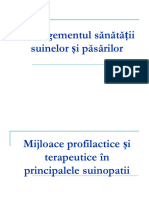 Mijloace Profilactice Și Terapeutice În Principalele Suinopatii