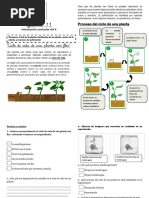 Guia 11 Ciencias 3°a